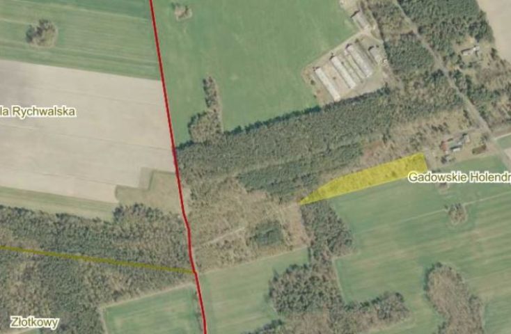 Na sprzedaż grunt leśno-rolny o powierzchni 6.66 ha  - Na sprzedaż  działka rolna  : Gadowskie Holendry