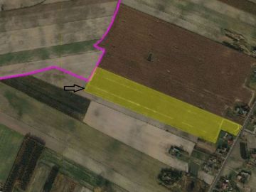 Na sprzedaż grunt rolny, 4.80 ha, z uprawą sadu wiśniowego - Na sprzedaż  działka rolna  : Kijowiec