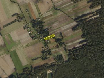 Na sprzedaż duże działki z warunkami zabudowy - Osiecza Pierwsza - Na sprzedaż  działka budowlana  : Osiecza Pierwsza