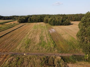 Na sprzedaż duże działki z warunkami zabudowy - Osiecza Pierwsza - Na sprzedaż  działka budowlana  : Osiecza Pierwsza