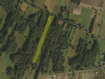 Na sprzedaż grunt rolno-leśny o pow. 1,75 ha-Paprotnia, gm. Krzymów - Na sprzedaż  działka rolna  : Paprotnia