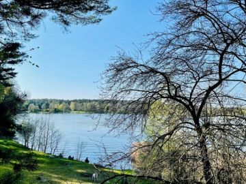 Luksusowy dom z widokiem na jezioro i las - Na sprzedaż  dom  , działka rekreacyjna , domek rekreacyjny : Ślesin